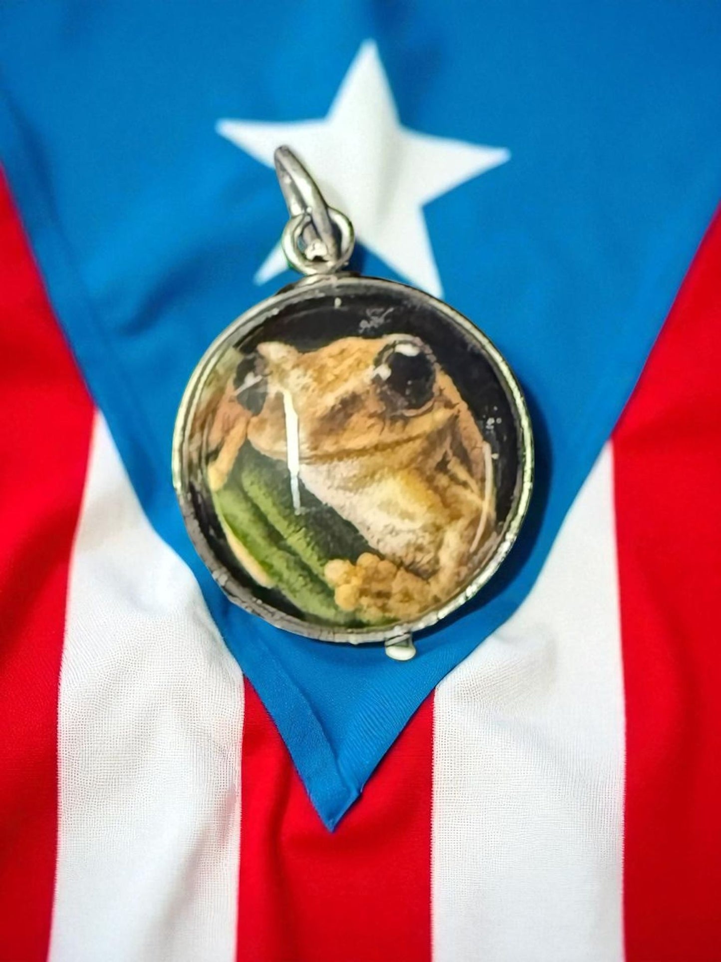 Dije Raíces Boricuas con Cadena - Raíces de Mi Isla