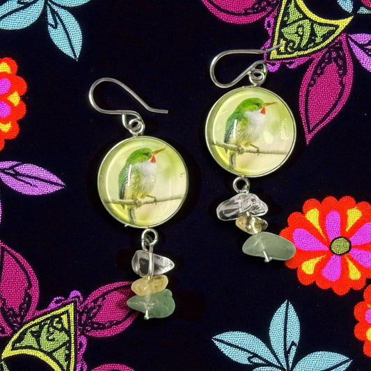 Aretes Ave San Pedrito - Raíces de Mi Isla