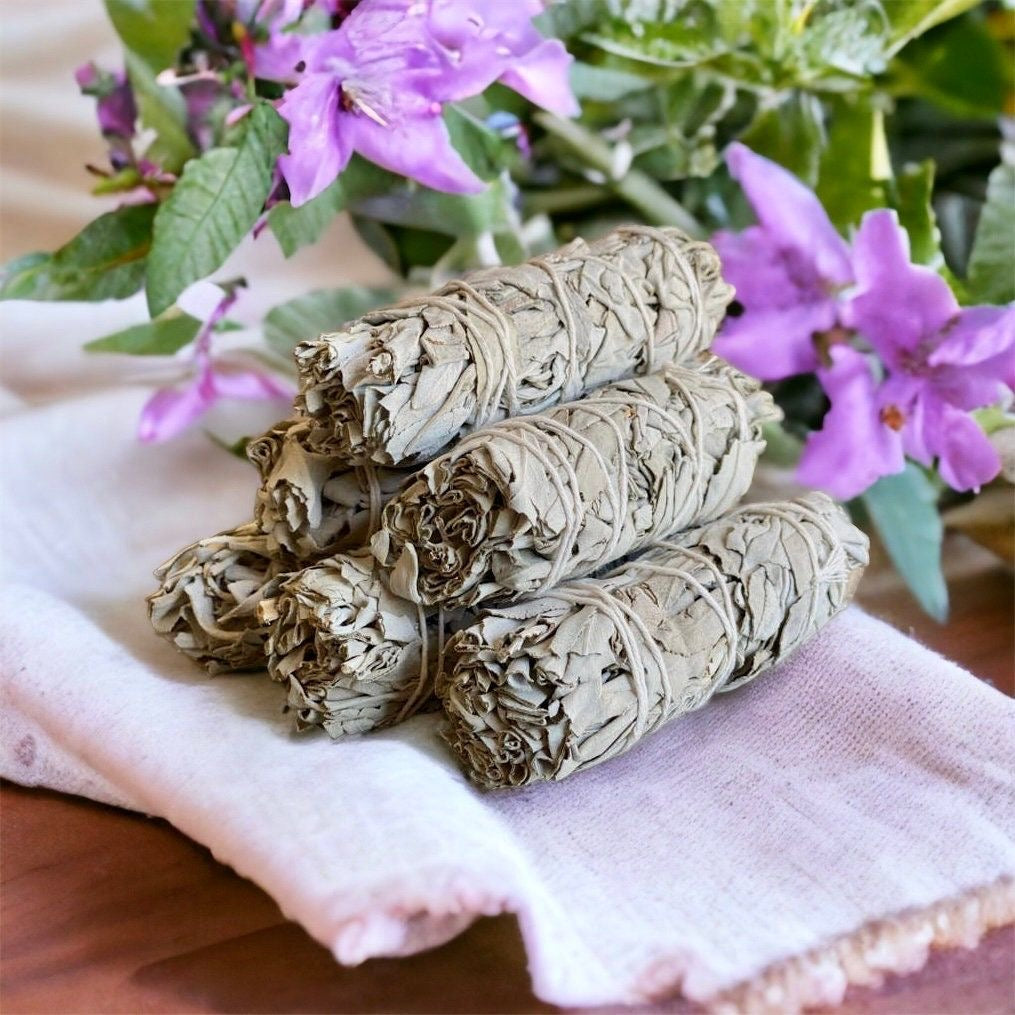 Salvia Blanca