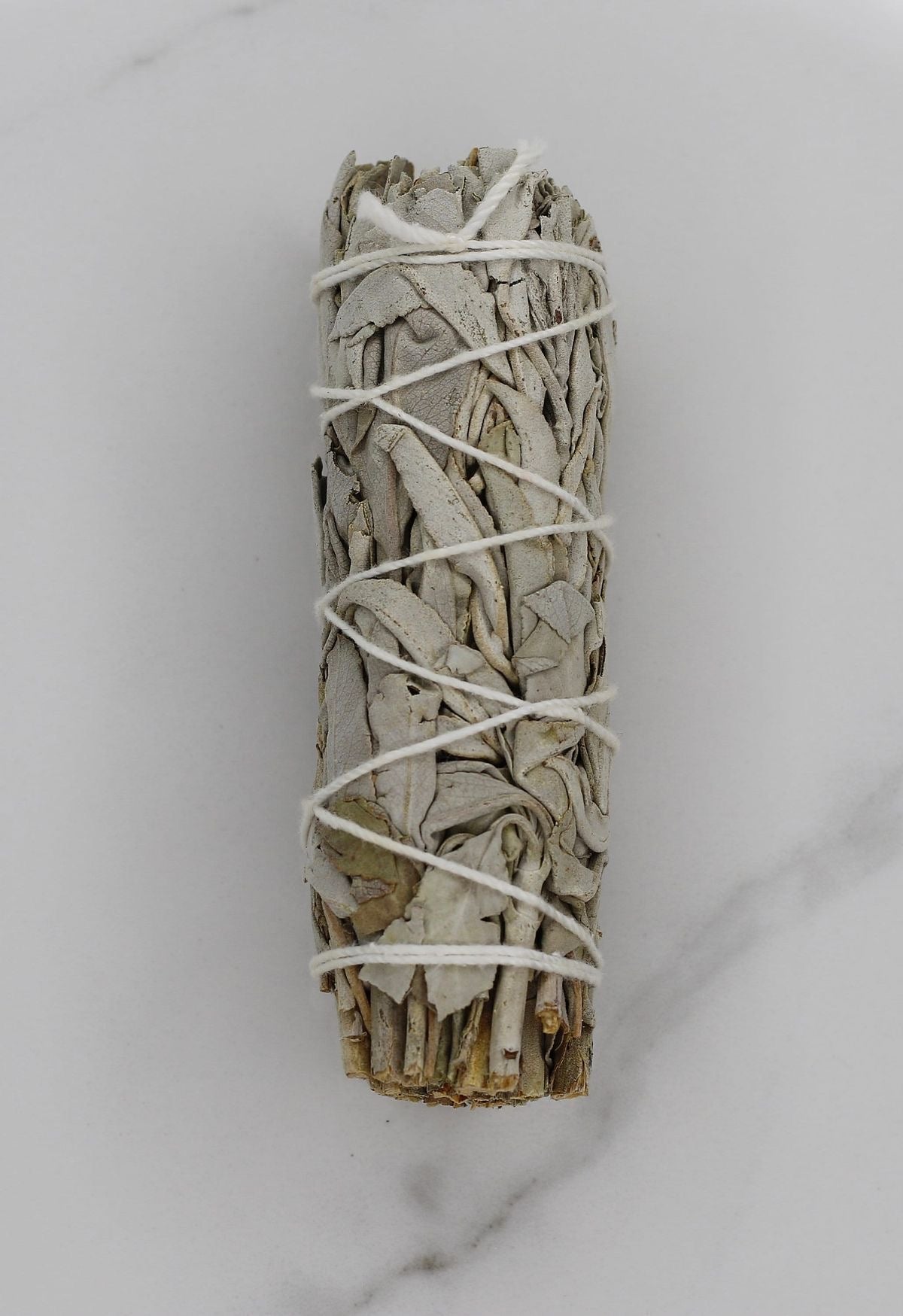 Salvia Blanca